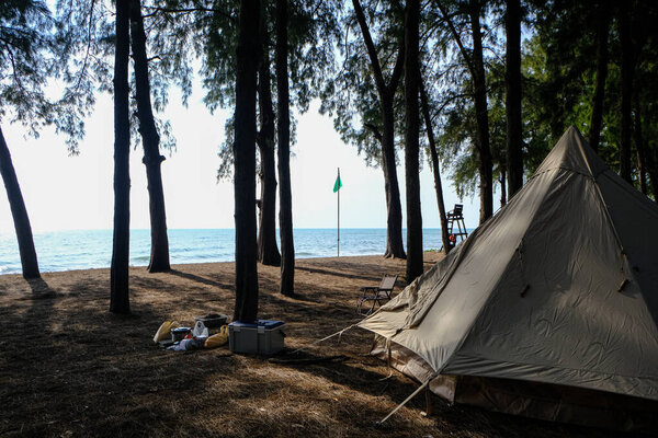 Camping tent on beach in pine forest nature landscape summer vacation