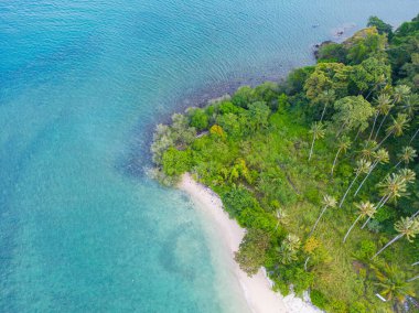 Hava manzaralı deniz plajı yeşil ağaç ormanı yaz tatili arka planlı beyaz kumsal dalgası