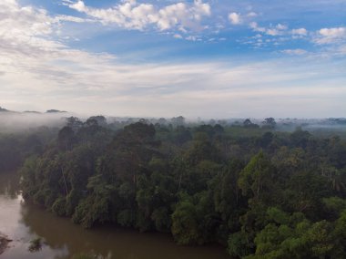 Hava manzaralı tropikal yeşil ağaç ormanı ve nehir doğuya ev sahipliği yapıyor.