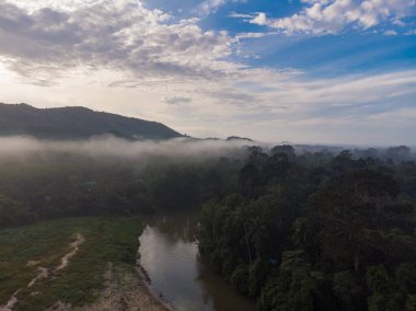 Hava manzaralı tropikal yeşil ağaç ormanı ve nehir doğuya ev sahipliği yapıyor.