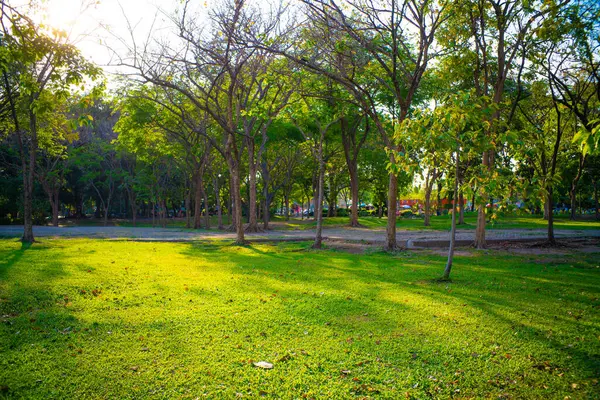 Green City Public Park Recreation Nature Background — Stock Photo, Image