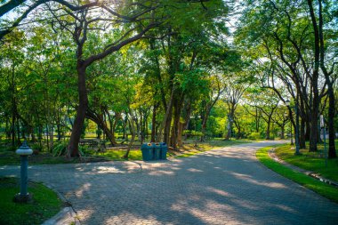 Yeşil ağaçlı güzel bir park, doğa manzaralı.