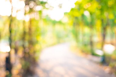 Şehir parkı ile bulanık arkaplan 