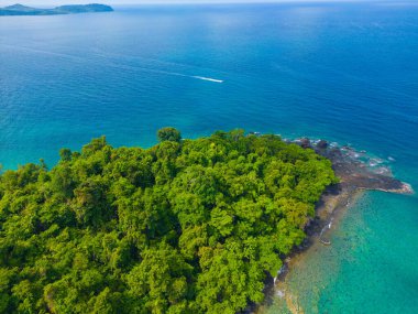 Tropikal ada deniz manzaralı tropikal yeşil ağaç ormanı