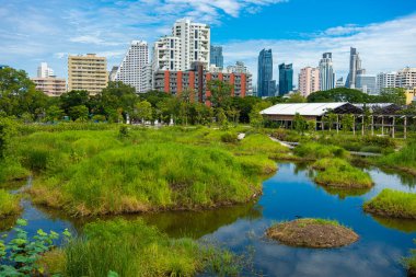 Benchakitti tropikal yağmur ormanı şehir parkında modern ofis binalarıyla Bangkok Tayland 'da yeni bir dönüm noktası