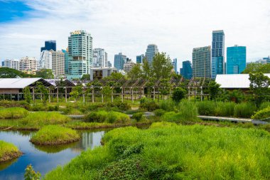 Benchakitti tropikal yağmur ormanı şehir parkında modern ofis binalarıyla Bangkok Tayland 'da yeni bir dönüm noktası