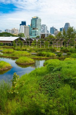 Benchakitti tropikal yağmur ormanı şehir parkında modern ofis binalarıyla Bangkok Tayland 'da yeni bir dönüm noktası