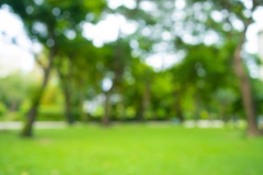 Şehir parkındaki ormanda soyut yeşil ağaçlar bulanıklaşıyor 