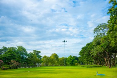 Şehir parkında yeşil çayır çimenleri Orman günbatımı gökyüzü doğa manzarası