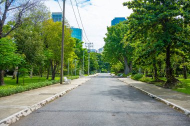 Asplalt, yeşil ağaç ormanı ve ofis yapım geçmişiyle birlikte şehir parkında yürüyüş yapıyor.