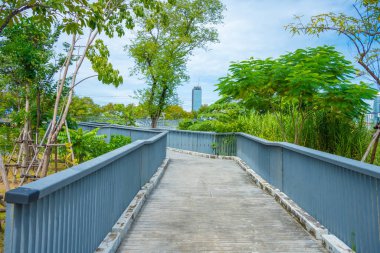 Asplalt, yeşil ağaç ormanı ve ofis yapım geçmişiyle birlikte şehir parkında yürüyüş yapıyor.