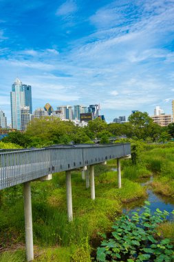 Şehir yeşili orman parkı Benchakitti yeni tropikal park Silom şehri Bangkok Tayland