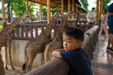 5 yıllık anaokulu çocuğu hayvanat bahçesinde zürafa yiyor. Hayvanlarla mutlu çocuk.