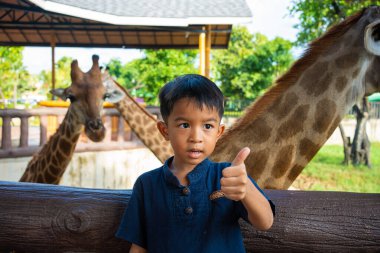5 yıllık anaokulu çocuğu hayvanat bahçesinde zürafa yiyor. Hayvanlarla mutlu çocuk.