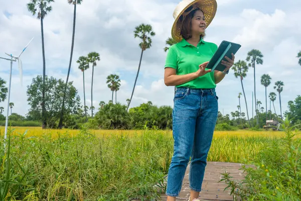 Modern farmer woman use tablet technology improve rice productivity in rice plantation field technology farmer