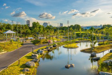 Yeşil şehir parkı tropik ağaç ormanı gökyüzü bulutlu Bangkok Tayland
