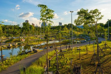 Yeşil şehir parkı tropik ağaç ormanı gökyüzü bulutlu Bangkok Tayland