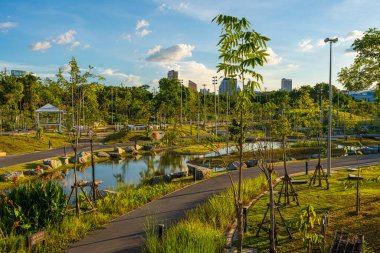 Yeşil şehir parkı tropik ağaç ormanı gökyüzü bulutlu Bangkok Tayland