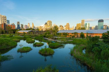 Benchakitti bataklık nehri, modern ofis binaları olan tropikal orman parkı, Tayland 'ın merkezi.
