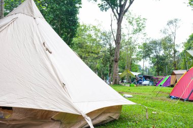 Ağaç Ormanı 'ndaki çim tarlasında kamp çadırı.
