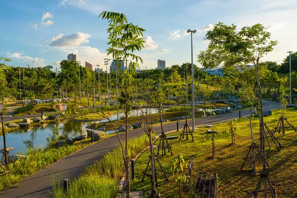 Yeşil şehir parkı tropik ağaç ormanı gökyüzü bulutlu Bangkok Tayland