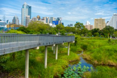 Benchakitti tropikal yağmur ormanı şehir parkında modern ofis binalarıyla Bangkok Tayland 'da yeni bir dönüm noktası