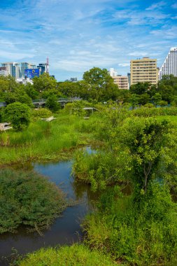 Benchakitti tropikal yağmur ormanları şehir parkında modern ofis binalarıyla Bangkok Tayland 'da yeni bir dönüm noktası oluşturuyor.
