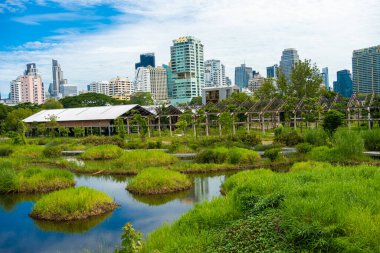 Benchakitti tropikal yağmur ormanları şehir parkında modern ofis binalarıyla Bangkok Tayland 'da yeni bir dönüm noktası oluşturuyor.