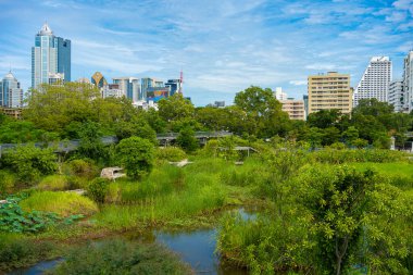 Benchakitti tropikal yağmur ormanları şehir parkında modern ofis binalarıyla Bangkok Tayland 'da yeni bir dönüm noktası oluşturuyor.
