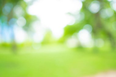 Şehir parkındaki bulanık yeşil ağaç ormanı. Parlak güneş ışığı arka plan.