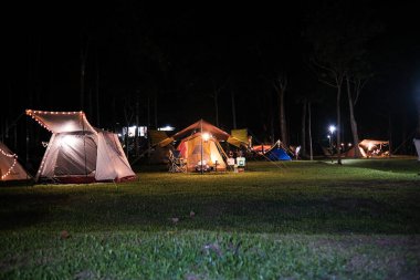 Gece kampı havai fişekleri yeşil çimlerin üzerinde.