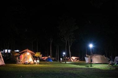 Gece kampı havai fişekleri yeşil çimlerin üzerinde.