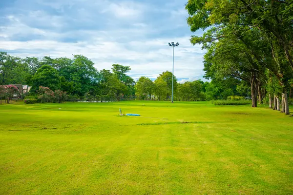 Green meadow grass with trees in city public park, nature background
