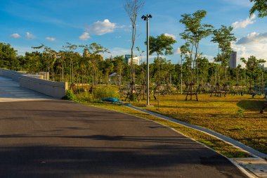 Bangkok Tayland 'da tropikal ağaçları olan yeşil şehir parkı