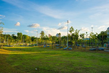 Bangkok Tayland 'da tropikal ağaçları olan yeşil şehir parkı