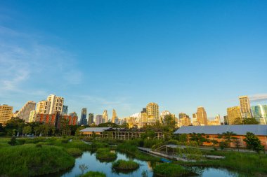 Benchakitti bataklık nehri, modern ofis binaları olan tropikal orman parkı, Tayland 'ın merkezi.