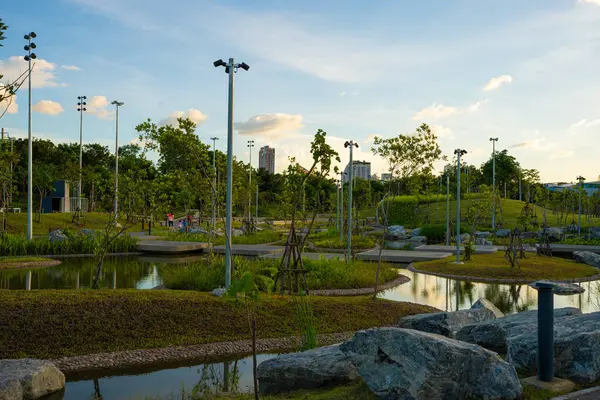 Bangkok Tayland 'da tropikal ağaçları olan yeşil şehir parkı