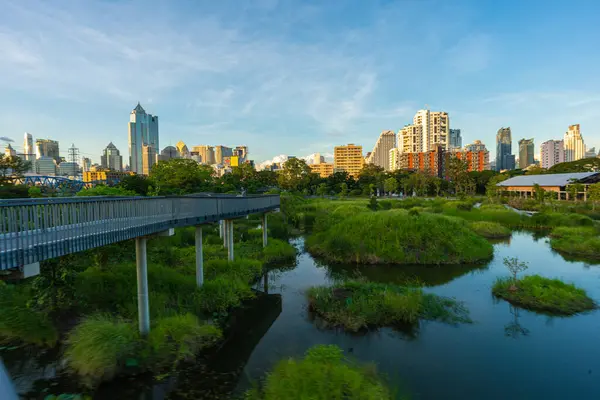 Benchakitti bataklık nehri, modern ofis binaları olan tropikal orman parkı, Tayland 'ın merkezi.