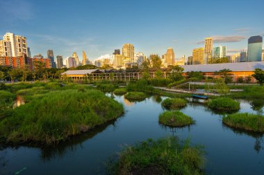 Benchakitti swamp river, tropical forest park with modern office buildings, center of Bangkok city Thailand clipart