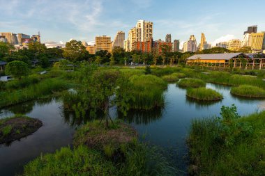Benchakitti bataklık nehri, modern ofis binaları olan tropikal orman parkı, Tayland 'ın merkezi.
