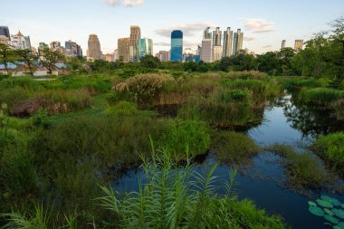 Benchakitti bataklık nehri, modern ofis binaları olan tropikal orman parkı, Tayland 'ın merkezi.