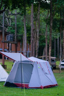 Yeşil çimlerin üzerinde kamp çadırı. Tropik orman yürüyüşü. Doğada yolculuk.