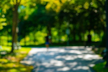 Soyut bulanık şehir yeşil park tropik orman güneşi doğanın arka planı