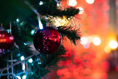 Lüks çam ağacı dalında Noel mücevherleri 