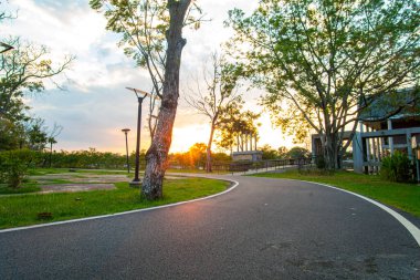 Asfalt yol parkı koşu yolu üzerinde gün batımı ışığı ve doğa arka planıyla yeşil çayır otları ile yol