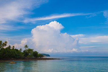 Deniz dalgası kumsal mavi gökyüzü Hindistan cevizi palmiyeleri ile egzotik ada yaz tatili doğa arka planı