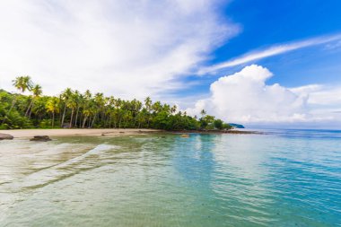 Deniz dalgası kumsal mavi gökyüzü Hindistan cevizi palmiyeleri ile egzotik ada yaz tatili doğa arka planı