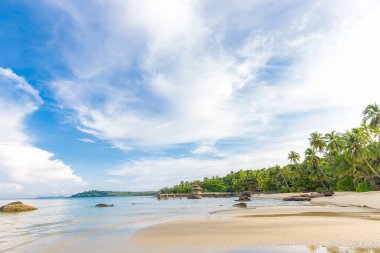 Deniz dalgası kumsal mavi gökyüzü Hindistan cevizi palmiyeleri ile egzotik ada yaz tatili doğa arka planı