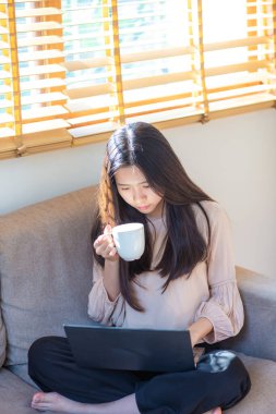 İş adamı Asyalı sıradan bir kadın dizüstü bilgisayarında rahat ofis bilgi teknolojisinde koltukta oturuyor.