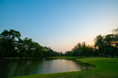 Gün batımında yeşil park. Şehir parkında çayır ve ağaçlar var.